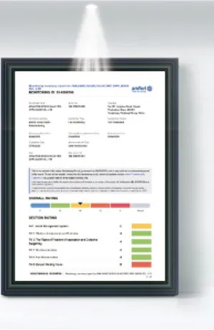 BSCI Certificado